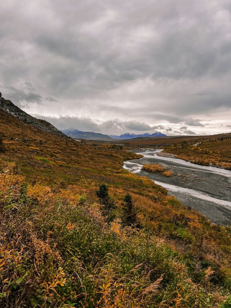 Adding Denali to Your Alaska Cruise: How a Cruisetour Works